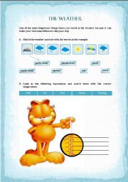 English Worksheet: The weather