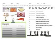 English Worksheet: Cooking verbs