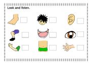 English Worksheet: Look and listen - body  parts