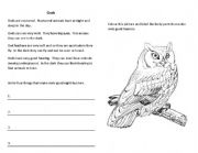 English worksheet: owl vocab