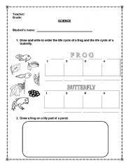 English Worksheet: LIFE CYCLE