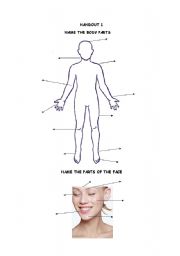English worksheet: Body Parts and Face Handout