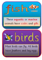 THE ANIMAL KINGDOM FLASHCARDS PART 2