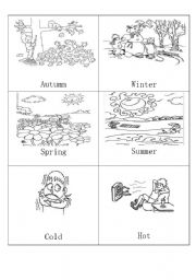 MINIFLASHCARDS - THE SEASONS- 