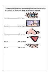 English worksheet: five senses - body parts