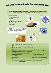 English worksheet: Idioms with animals for everyday using