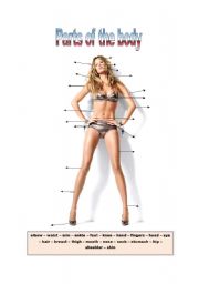 Body parts with top Gisele Bundchen