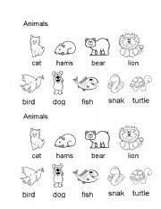 Animals