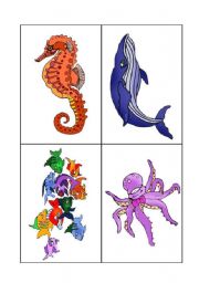 English Worksheet: Sea animals