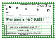 English worksheet: TEST ABOUT PETS AND LIKES OR DISLIKES