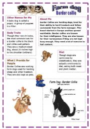 English Worksheet: **farm dog **