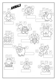 English Worksheet: Animals