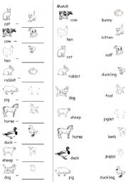 English Worksheet: Farm Animals Young