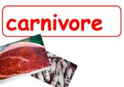 English worksheet: Animals.Carnivores,Hervibores,Omnivores,Humans posters.