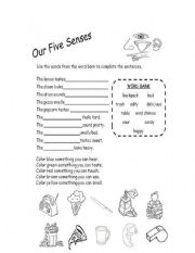 our five senses