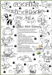 English Worksheet: amazing animal fatcs 2