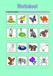 English worksheet: animals