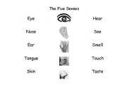 English worksheet: 5 senses.Match the sense, the body part with the correct picture