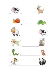 English worksheet: comparisons animals