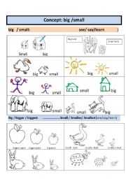 English Worksheet: Concept: size