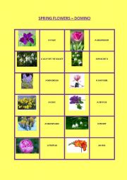 English worksheet: Spring flowers - domino