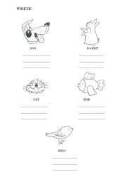 English worksheet: Animals