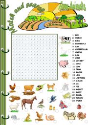 farm animals