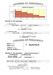 English Worksheet: adverbs of frequency