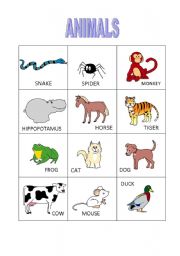 English worksheet: Animals