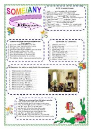 English Worksheet: Some, any