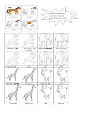 English Worksheet: Mammals - Body Parts