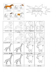 English worksheet: Mammals - Body Parts