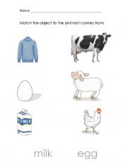 English worksheet: Farm animals: Where does it come from?