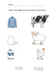 English Worksheet: Farm animals: Where does it come from?