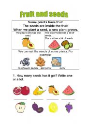 English Worksheet: Fruits and seeds