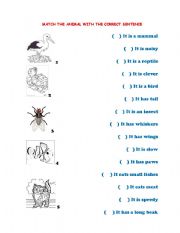 English Worksheet: ANIMAL DESCRIPTION