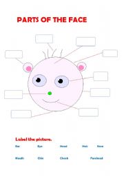 English Worksheet: Parts of the face