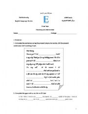 English worksheet: Grammar Test