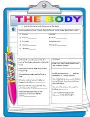 English Worksheet: the body idioms