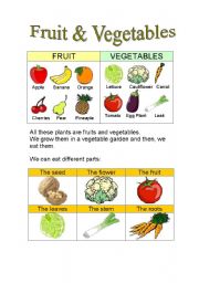 English Worksheet: Fruit & Vegetables Parts + Riddles