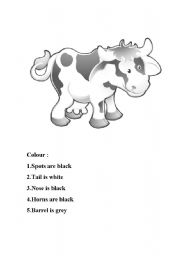 English worksheet: Cow