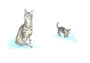 English Worksheet: little,big