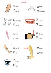 English Worksheet: BODYS PARTS