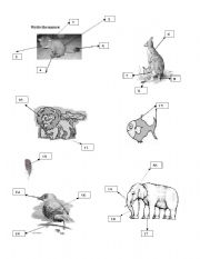 English Worksheet: Animals: body parts