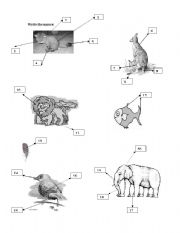 English worksheet: Animals: body parts