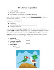 English worksheet: My Ultimate Adapted Bird