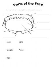English Worksheet: parts of my face