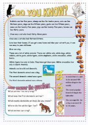 English Worksheet: Animal facts.