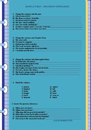 English Worksheet: Simple past - revision exercises