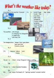 English Worksheet: Weather